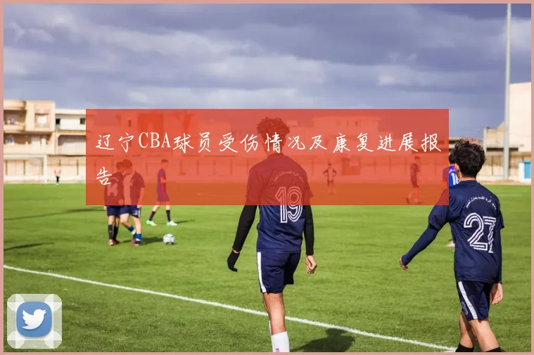 辽宁CBA球员受伤情况及康复进展报告